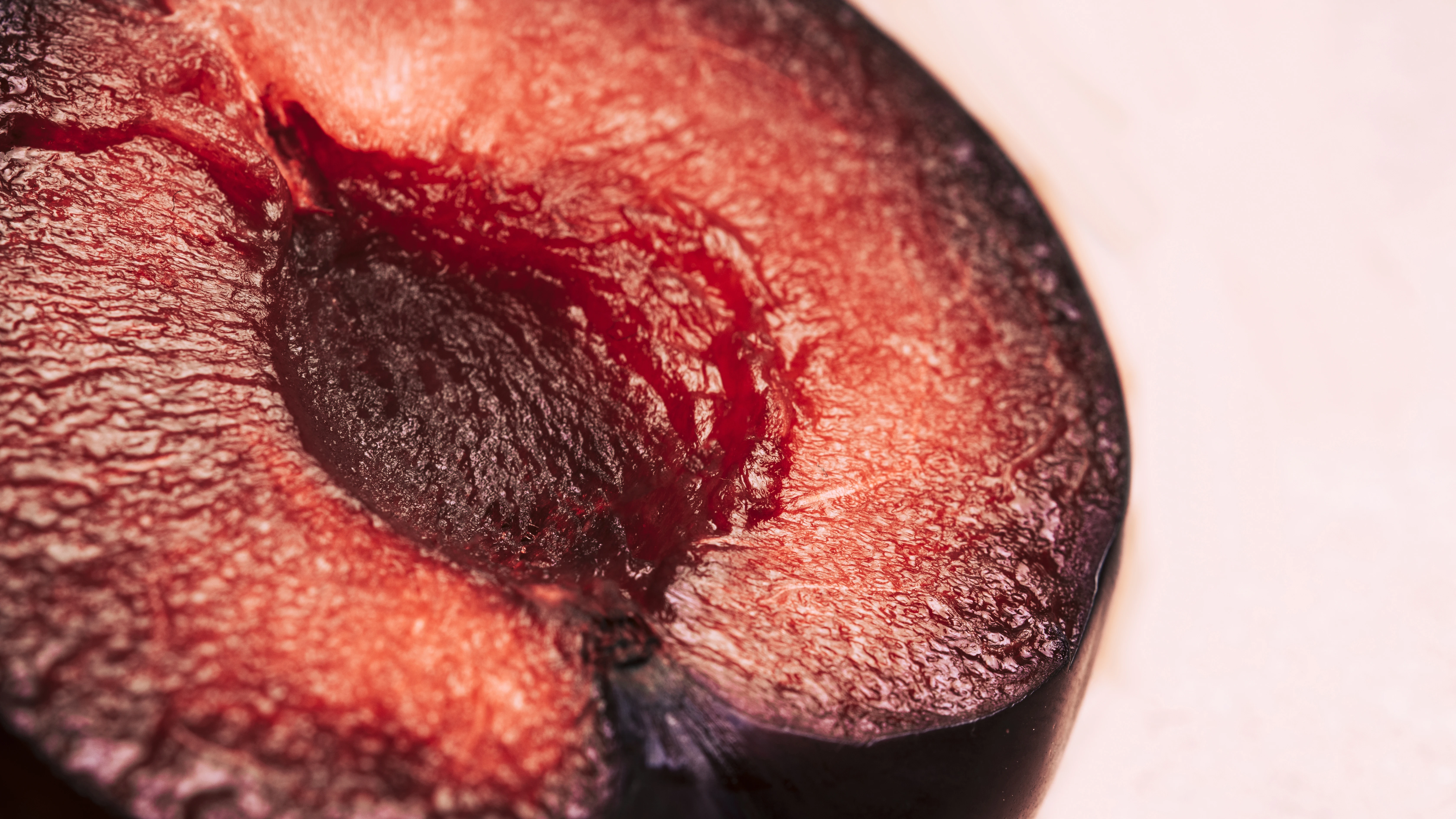 Perineum