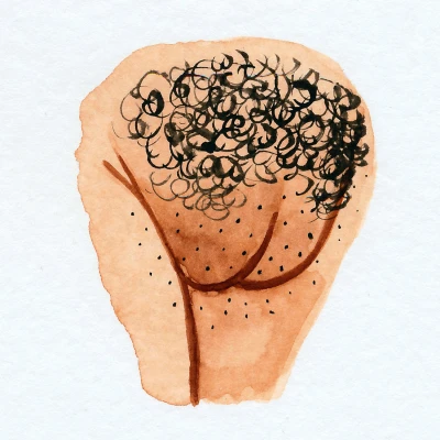 Illustration showing the appearance of the mons pubis, a soft, rounded area of tissue covered by skin and, typically, hair, located above the pubic bone.