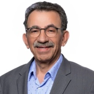 Mehdi Adham board-certified labiaplasty surgeon