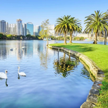 bassin-center-for-plastic-surgery-orlando-1.jpg