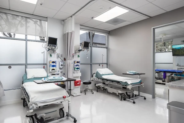 mark-a-anton-md-facs-aesthetics-md-2.jpg