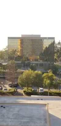 uci-plastic-surgery-2.jpg