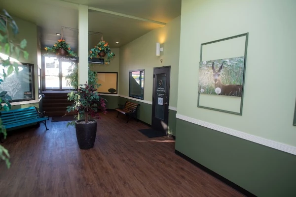 lake-stevens-natural-medicine-2.jpg