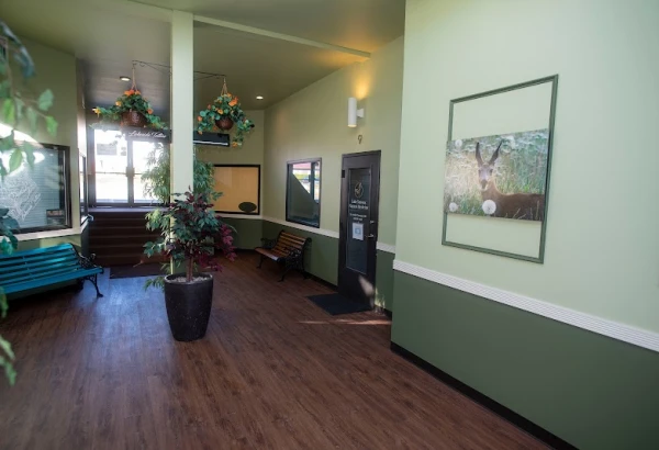lake-stevens-natural-medicine-2.jpg