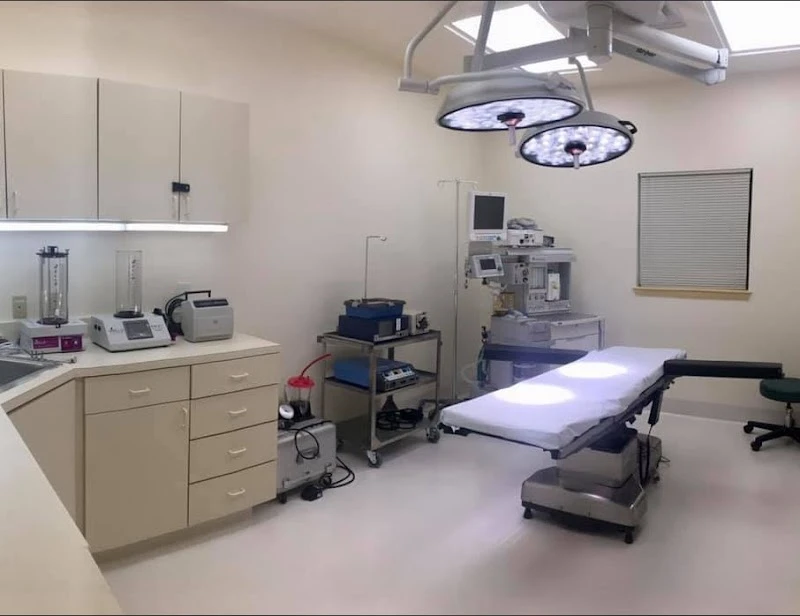 Orlando Cosmetic Surgical Arts, Orlando, Florida, 12315