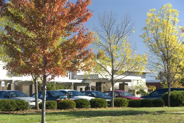 m-bradley-calobrace-md-facs-2.jpg