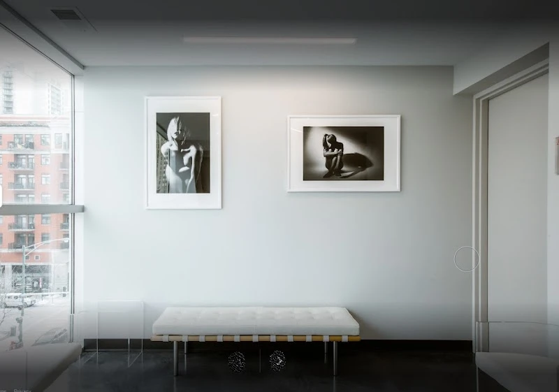 Wiesman Cosmetic Surgery, Chicago, Illinois, 60654