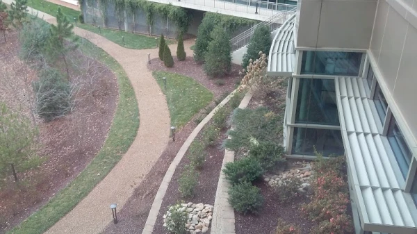 atrium-health-wake-forest-baptist-plastic-and-reconstructive-surgery-janeway-tower-1.jpg