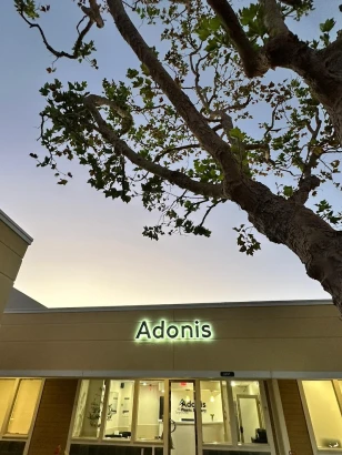 adonis-plastic-surgery-1.jpg