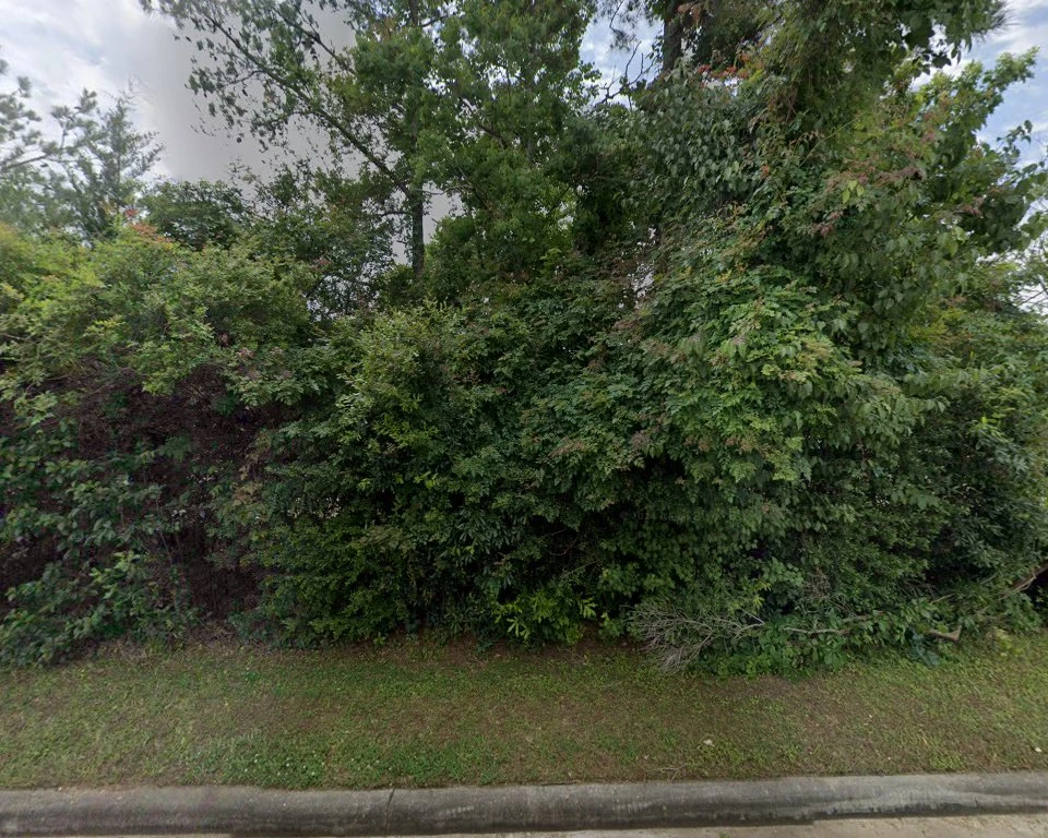 Lucian Rivela, The Woodlands, Texas, 77380