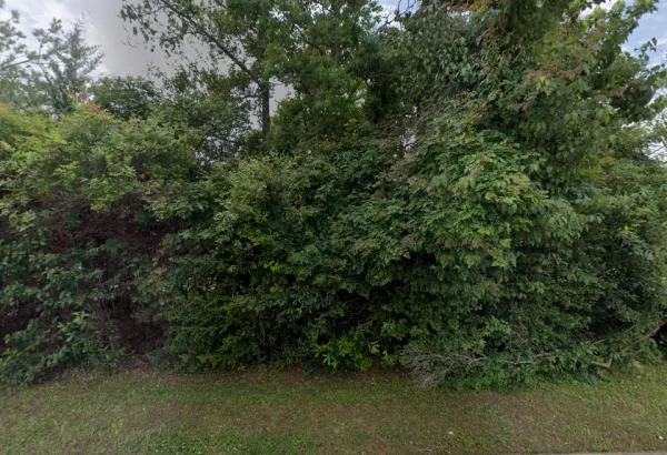 Lucian Rivela, The Woodlands, Texas, 77380